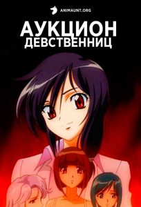 Аукцион девственниц 18+ Аукцион девственниц 18+